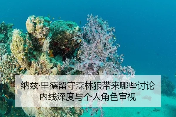 纳兹·里德留守森林狼带来哪些讨论 内线深度与个人角色审视